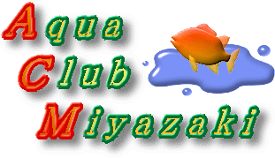 Aqua Club Miyazaki